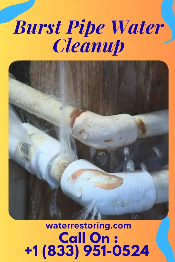 Burst Pipe Water Cleanup in Barrington, NJ