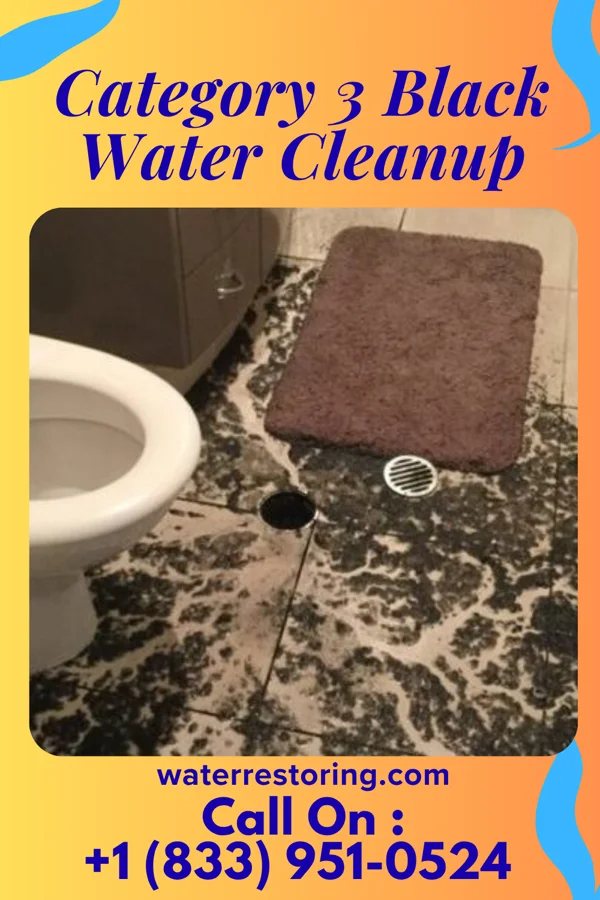 Category 3 Black Water Cleanup in Barrington, NJ