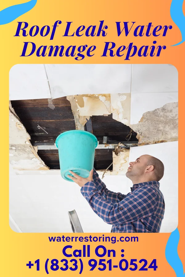 Roof Leak Water Damage Repair in Barrington, NJ