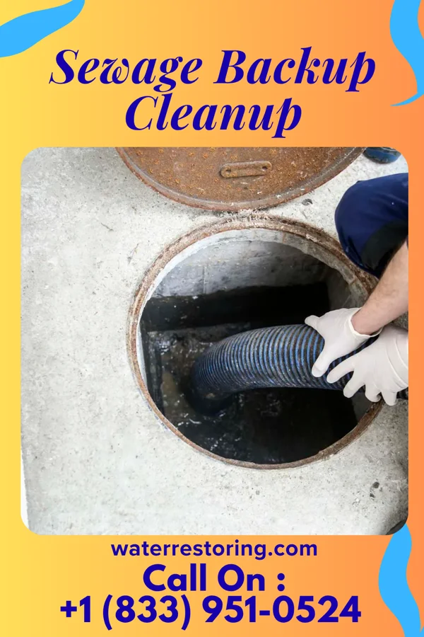 Sewage Backup Cleanup in Barrington, NJ